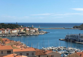 Bel appartement grande pièce à vivre 2 chambres avec magnifique vue sur port mer montagne Terrasse de 30m2